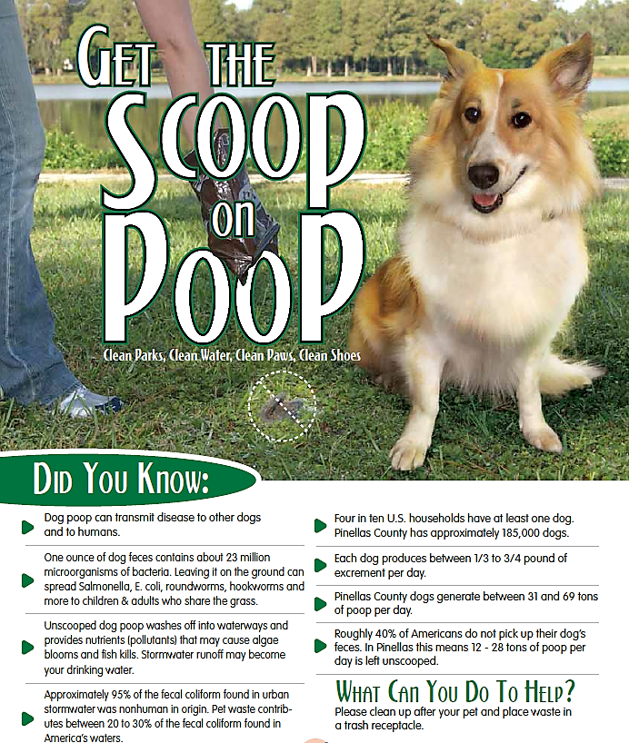 Poop Scoop Service In Avon In